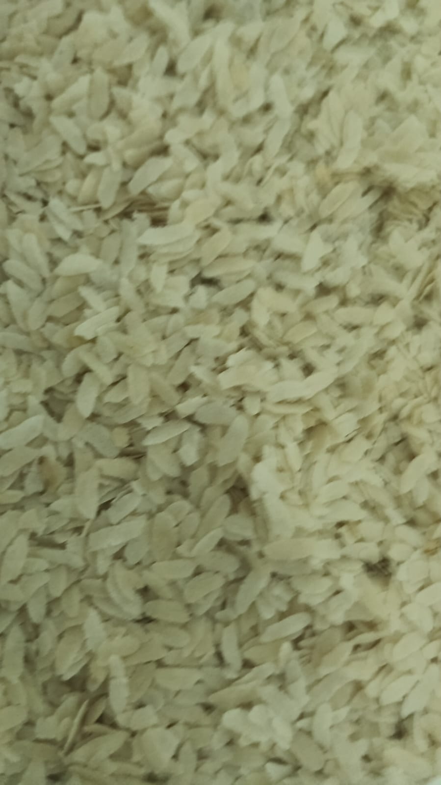 AVALAKKI